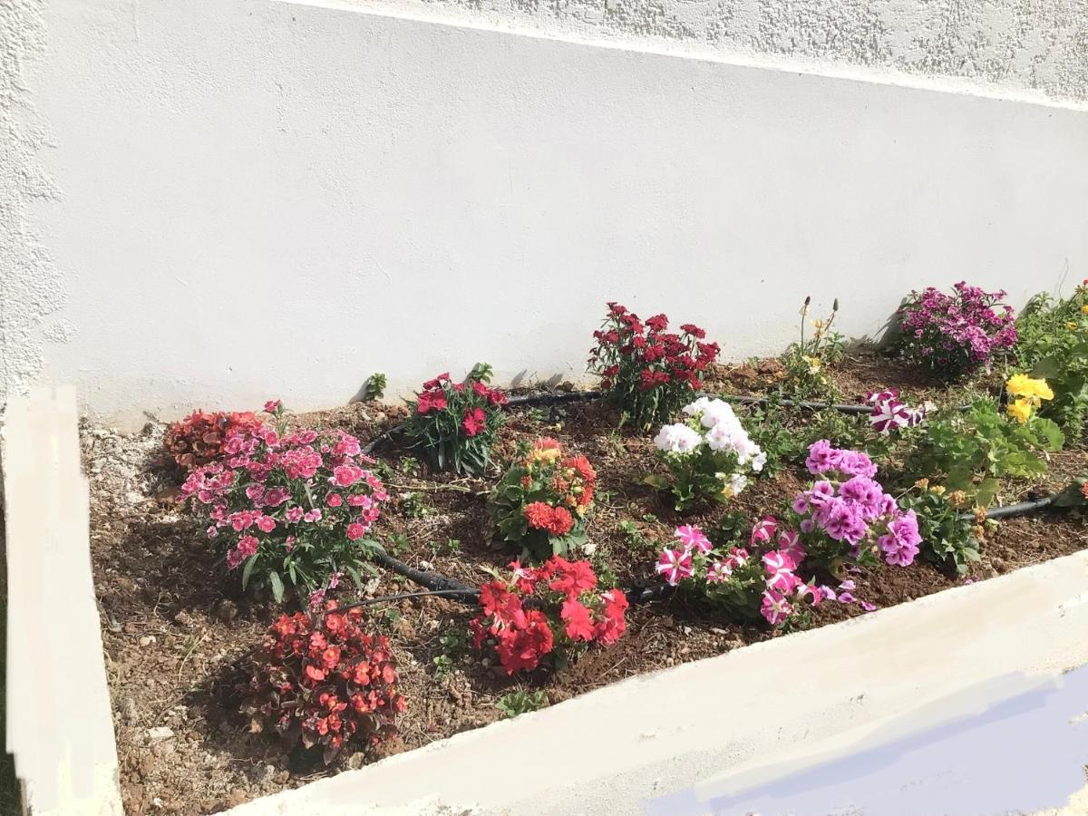 Arokaria Holiday Houses 플라타네스 외부 사진