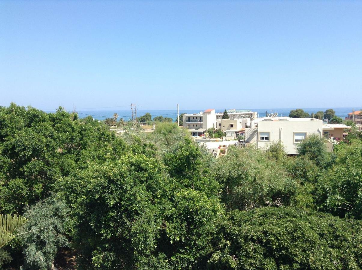 Arokaria Holiday Houses 플라타네스 외부 사진
